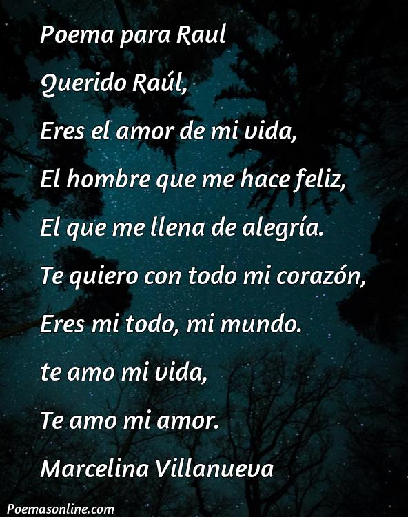 Inspirador Poema para Raúl, 5 Poemas para Raúl