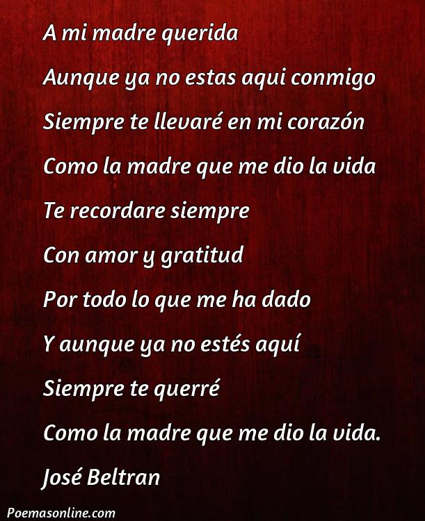 Cinco Mejores Poemas Para Recordar A Una Madre Fallecida Poemas Online