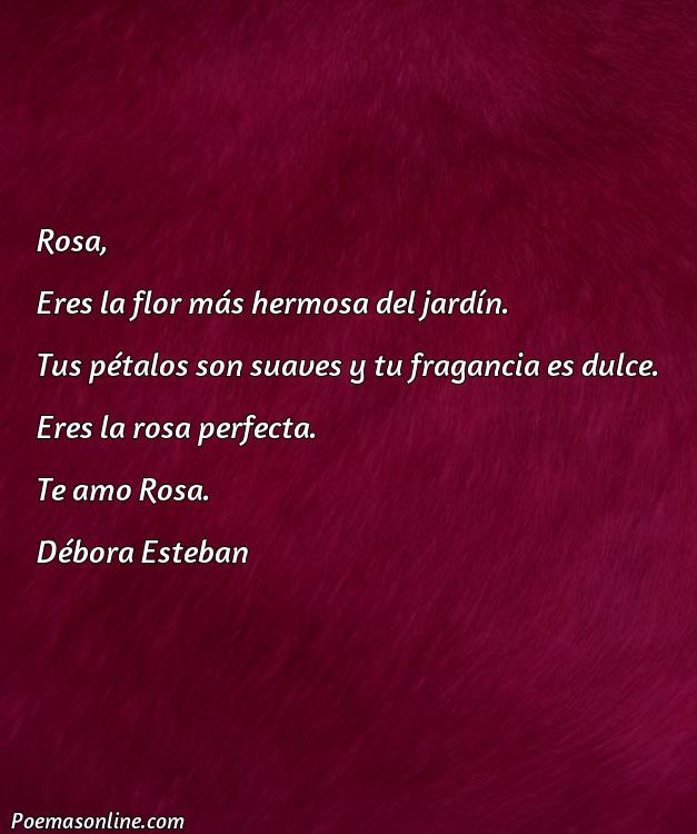 Reflexivo Poema para Rosa, Poemas para Rosa