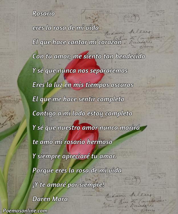 5 Poemas para Rosario