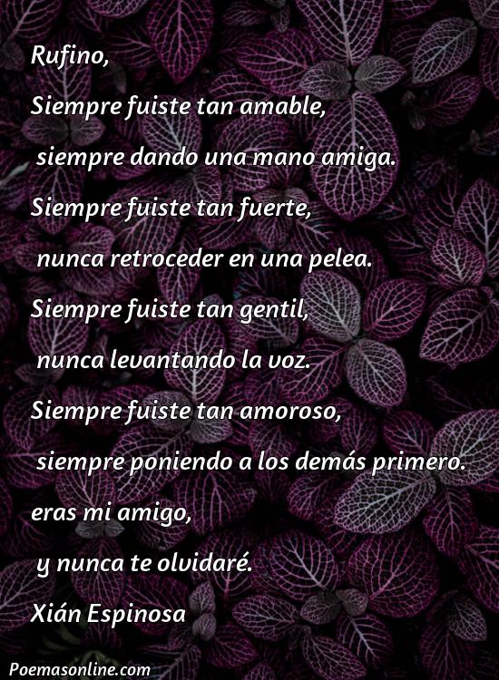 Reflexivo Poema para Rufino, Poemas para Rufino