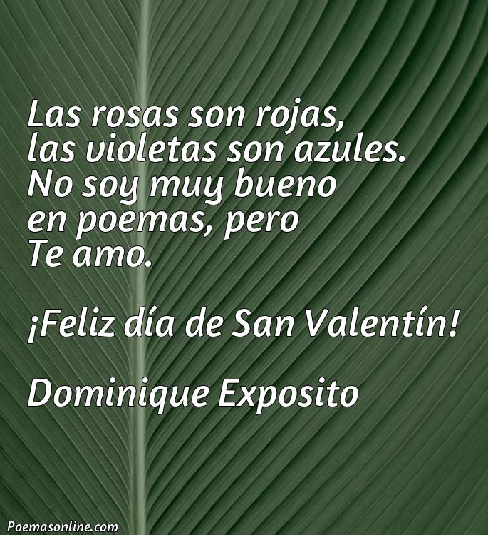 Inspirador Poema para San Valentín Amor, Poemas para San Valentín Amor