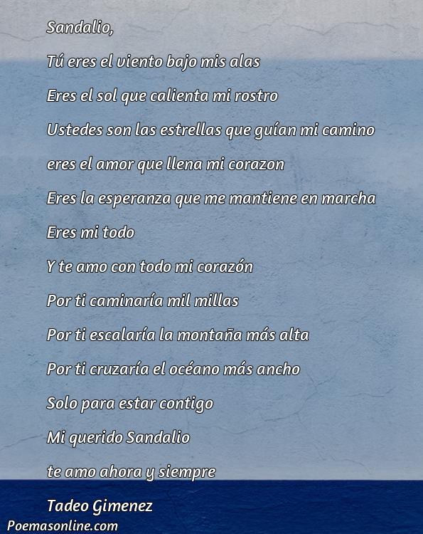 Excelente Poema para Sandalio, 5 Poemas para Sandalio
