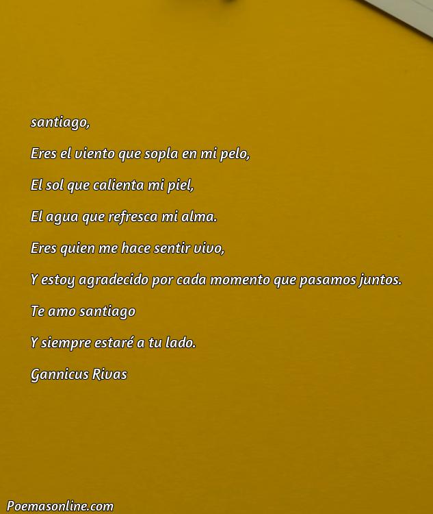 Reflexivo Poema para Santiago, Poemas para Santiago