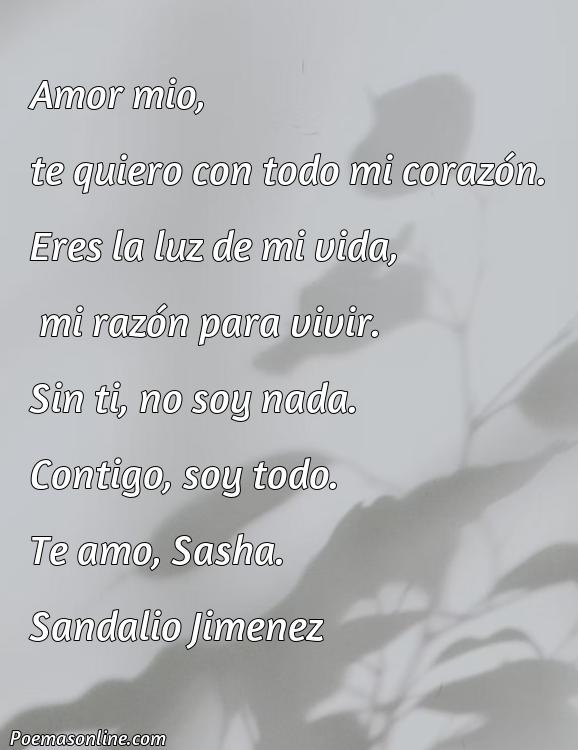 Mejor Poema para Sasha, 5 Poemas para Sasha