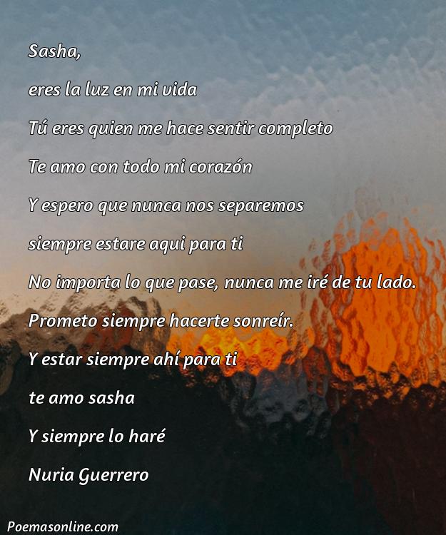 Excelente Poema para Sasha, 5 Poemas para Sasha