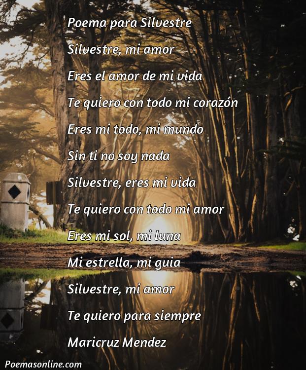 Hermoso Poema para Silvestre, Poemas para Silvestre