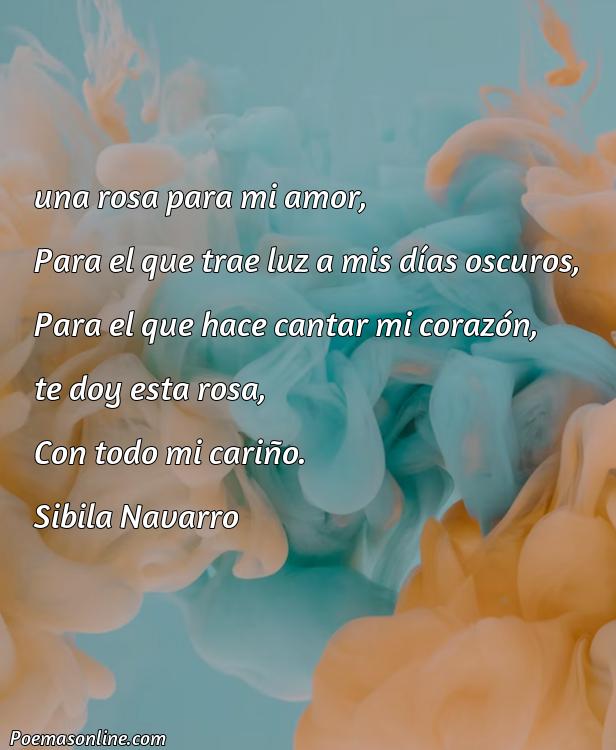 Lindo Poema para Silvia, Cinco Poemas para Silvia