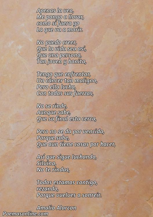 Excelente Poema para Silvina, 5 Poemas para Silvina
