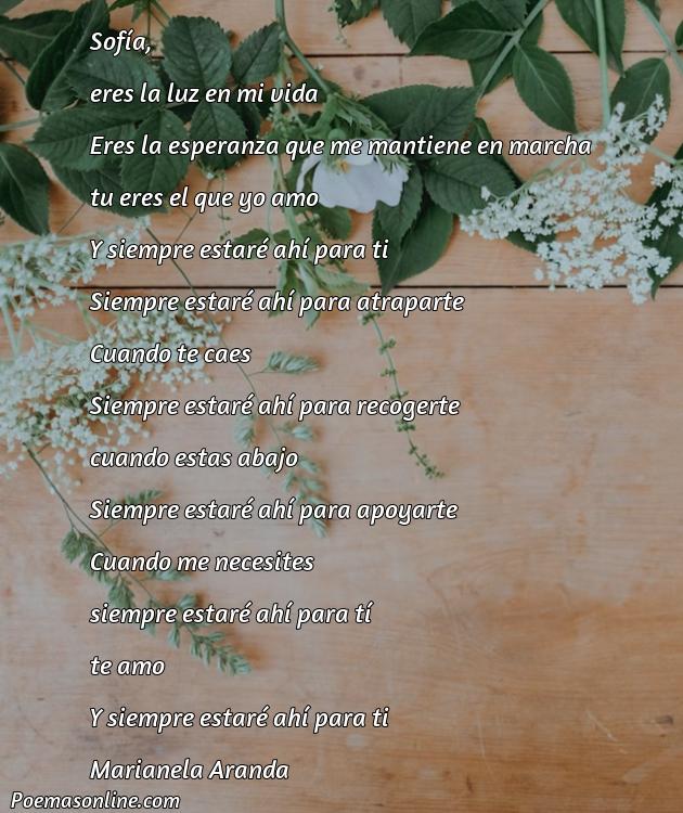 Cinco Mejores Poemas para Sofía
