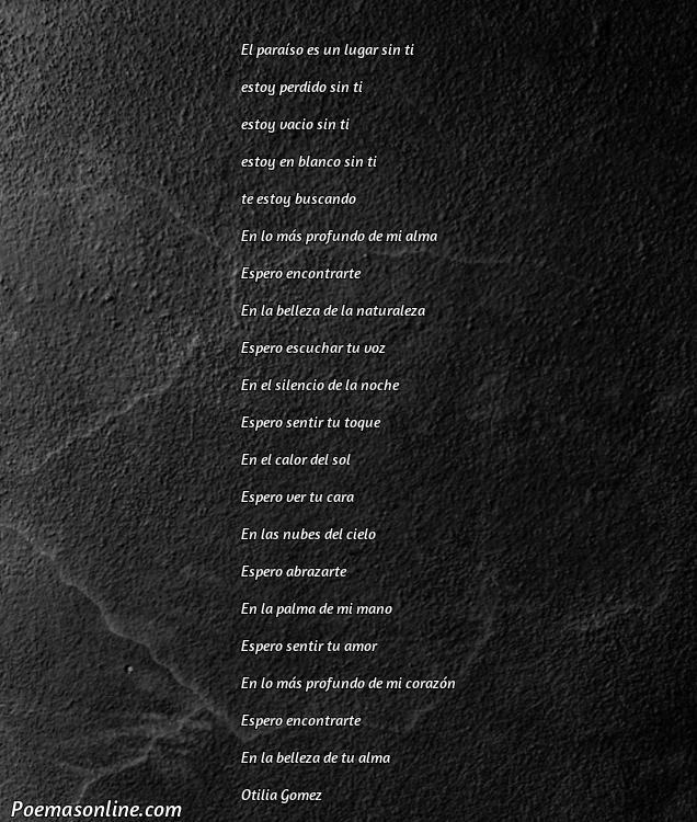 Lindo Poema para Soledad, 5 Poemas para Soledad