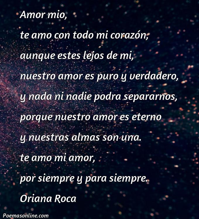 Corto Poema para un Amor Ala Distancia, Poemas para un Amor Ala Distancia