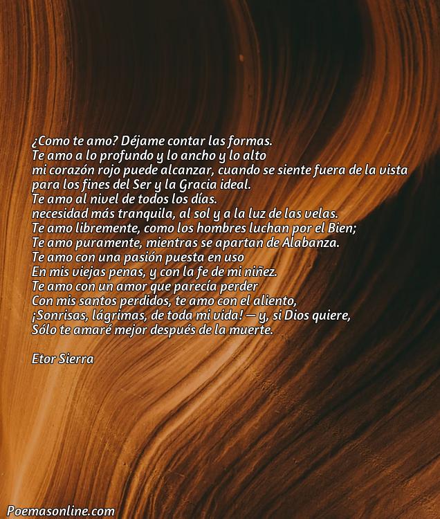 Hermoso Poema para un Amor Ala Distancia, Cinco Poemas para un Amor Ala Distancia