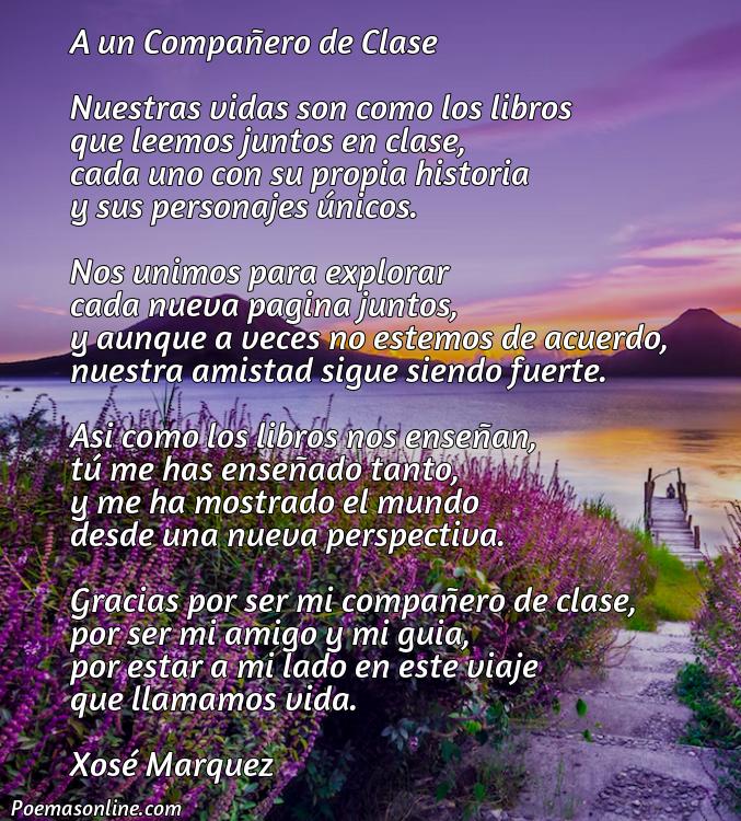 Hermoso Poema para un Compañero de Clase, 5 Mejores Poemas para un Compañero de Clase