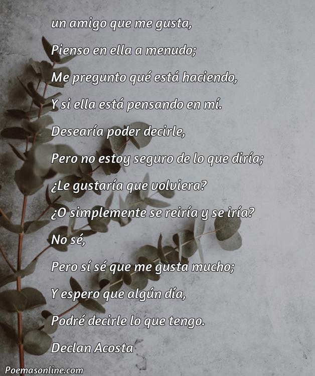5 Poemas para una Amiga que Me Gusta