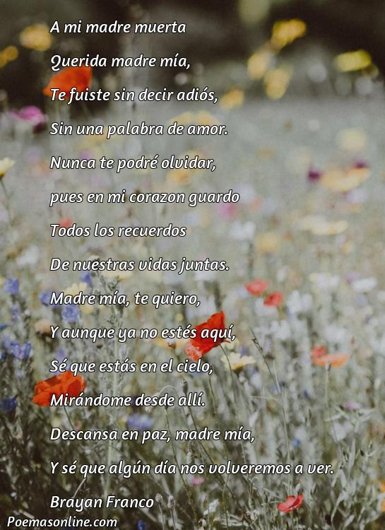 Hermoso Poema para una Madre Muerta, Poemas para una Madre Muerta