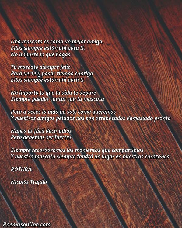 Mejor Poema para una Mascota que Murió, Poemas para una Mascota que Murió