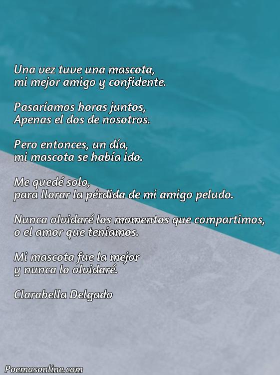 Excelente Poema para una Mascota que Murió, Poemas para una Mascota que Murió