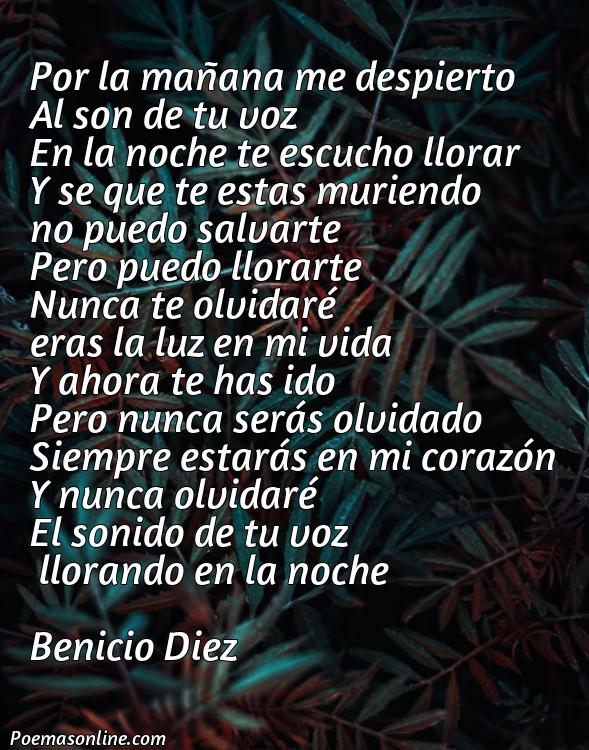 Corto Poema para una Persona que Ha Fallecido, Poemas para una Persona que Ha Fallecido