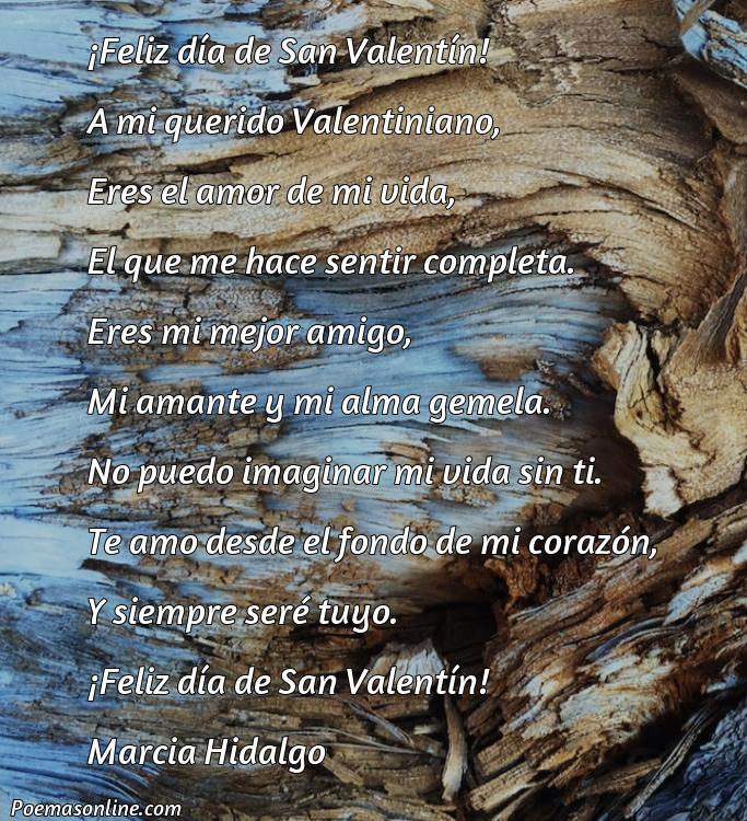 Hermoso Poema para Valentiniano, Poemas para Valentiniano