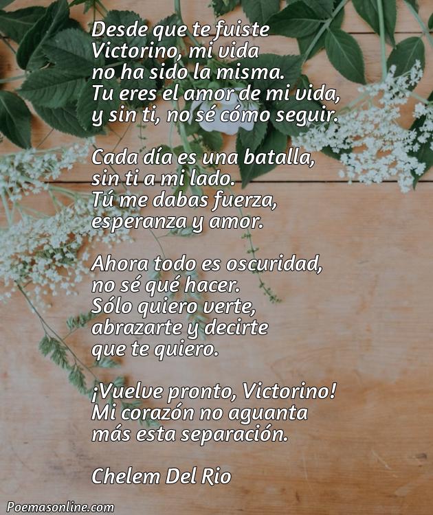 Corto Poema para Victorino, Poemas para Victorino