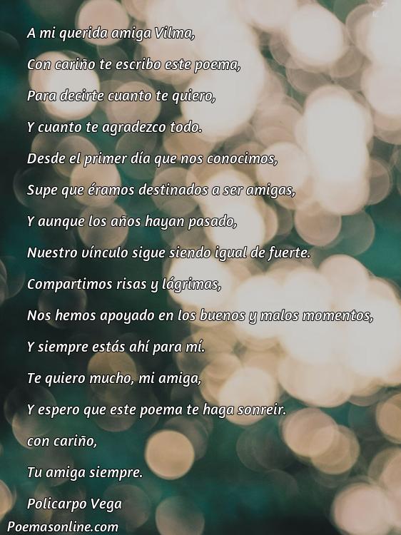 Excelente Poema para Vilma, Poemas para Vilma