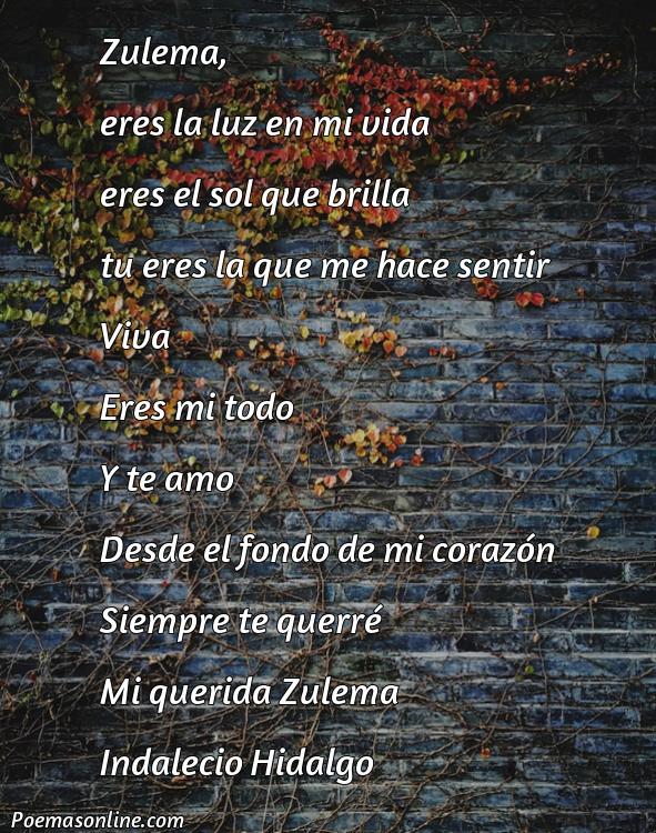 Reflexivo Poema para Zulema, Poemas para Zulema