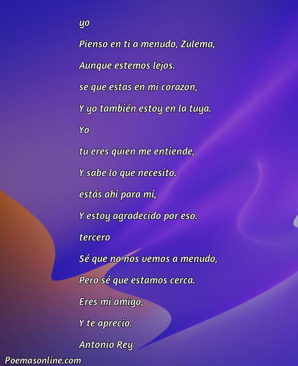 Excelente Poema para Zulema, Poemas para Zulema