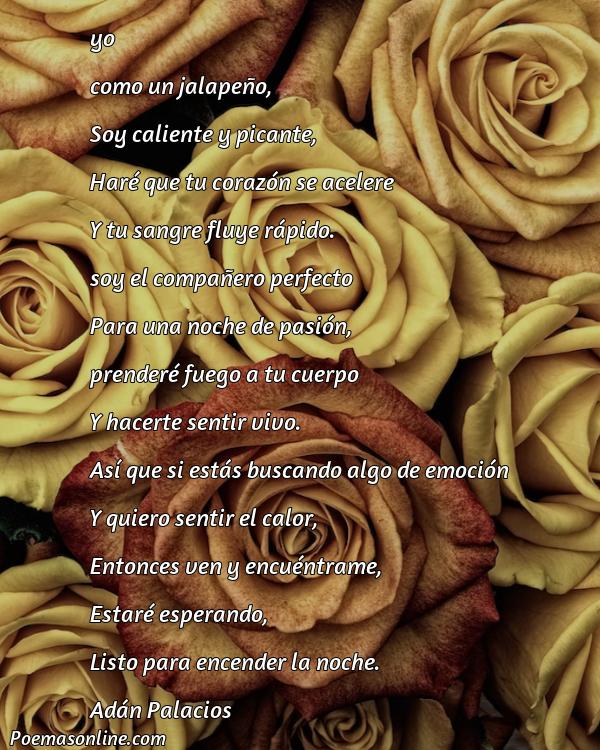 Cinco Poemas Picantes para Enamorar