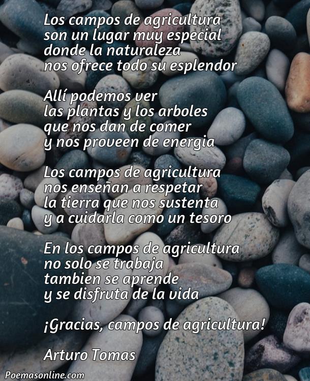 Corto Poema Relacionado sobre los Campos de Agricultura en Español, 5 Poemas Relacionado sobre los Campos de Agricultura en Español