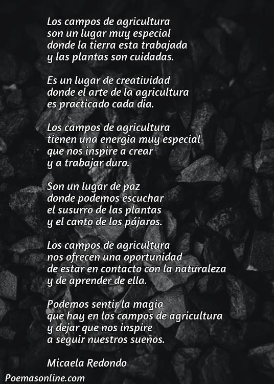 Inspirador Poema Relacionado sobre los Campos de Agricultura en Español, Cinco Poemas Relacionado sobre los Campos de Agricultura en Español