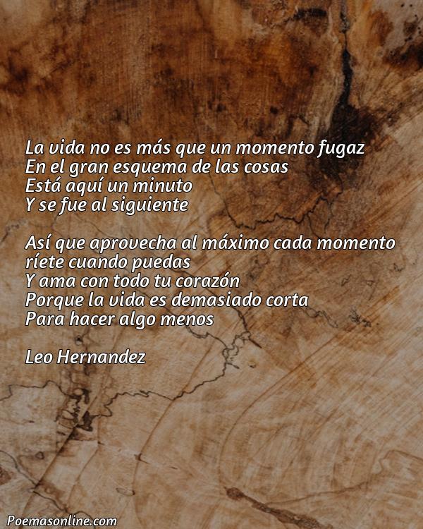 Corto Poema Renacentista sobre la Fugacidad de la Vida, 5 Mejores Poemas Renacentista sobre la Fugacidad de la Vida