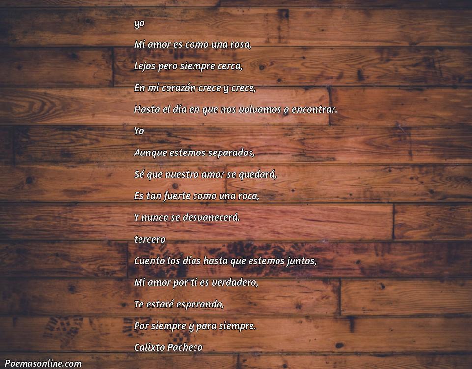 Excelente Poema Románticos para mi Novia que Esta Lejos, Cinco Mejores Poemas Románticos para mi Novia que Esta Lejos