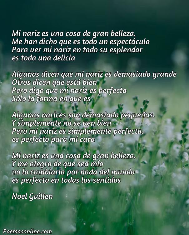 Inspirador Poema Satírico sobre la Nariz Quevedi, Cinco Poemas Satírico sobre la Nariz Quevedi