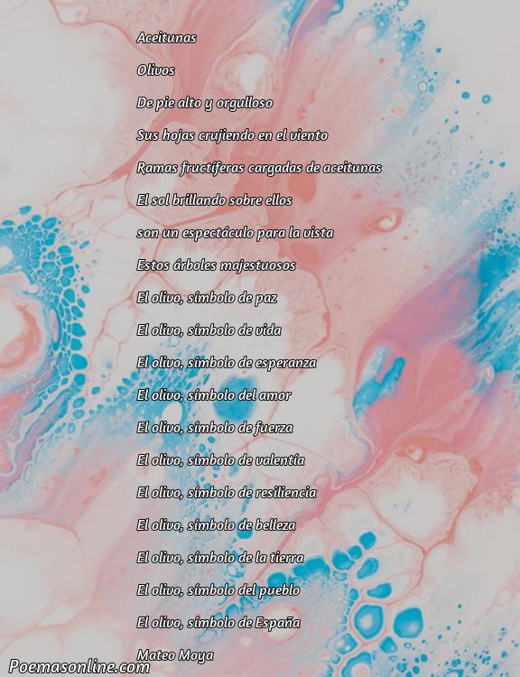 Mejor Poema sobre Aceitunas, 5 Poemas sobre Aceitunas