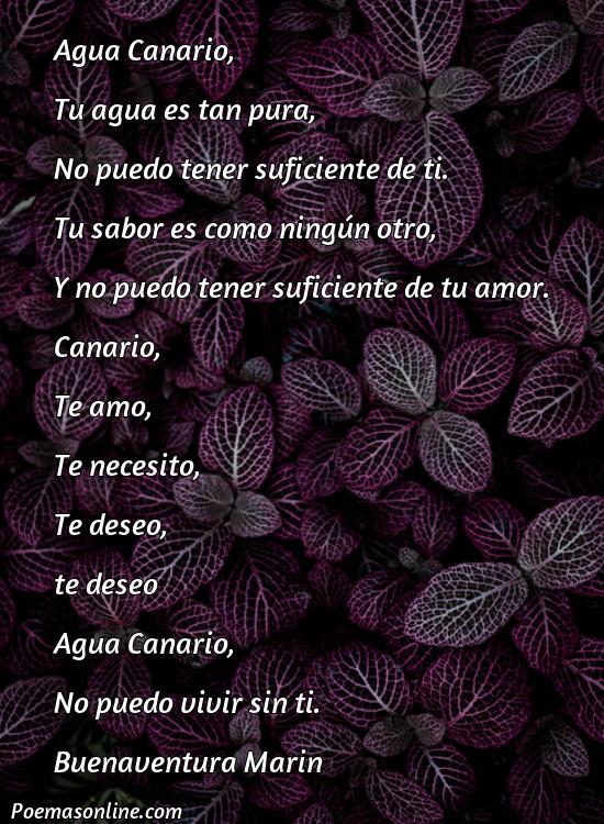 Excelente Poema sobre Agua Canario, Poemas sobre Agua Canario