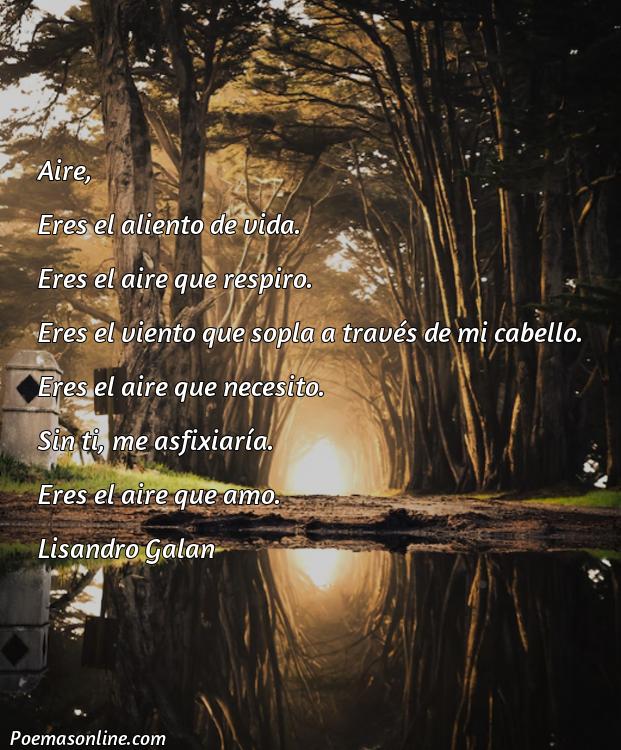 Inspirador Poema sobre Aire, Cinco Poemas sobre Aire