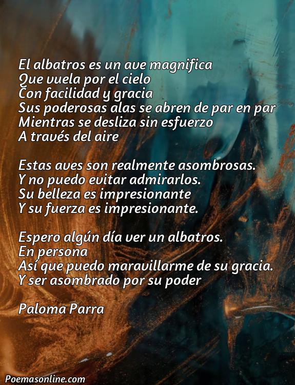 Inspirador Poema sobre Albatros, Poemas sobre Albatros
