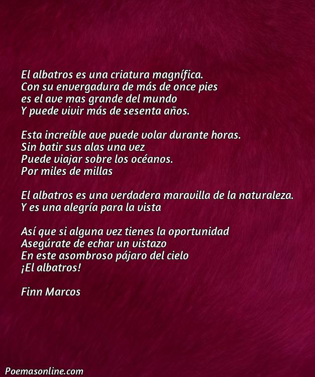 Corto Poema sobre Albatros, Poemas sobre Albatros