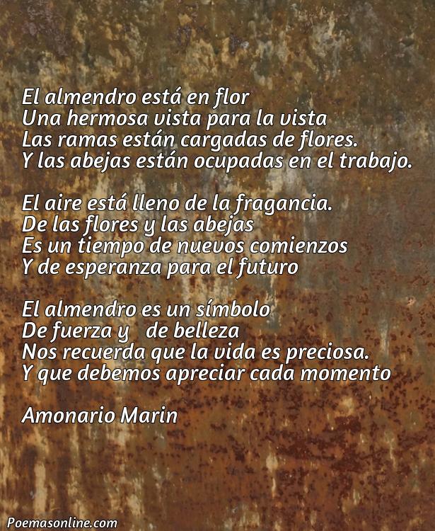 Cinco Mejores Poemas sobre Almendro en Flor