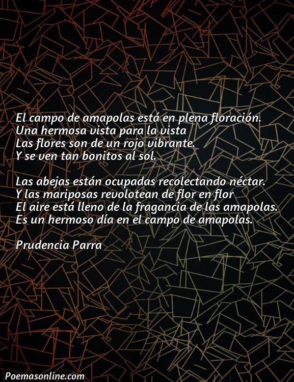 Corto Poema sobre Amapolas, Cinco Mejores Poemas sobre Amapolas