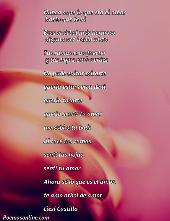 Corto Poema sobre Árbol Amor, 5 Poemas sobre Árbol Amor