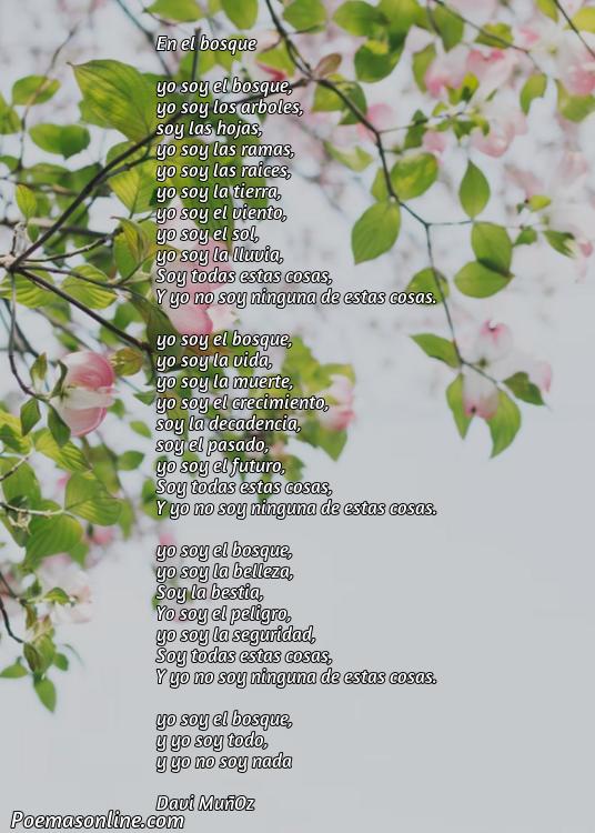 Lindo Poema sobre Bosque, Cinco Poemas sobre Bosque
