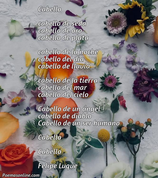 Cinco Mejores Poemas sobre Cabello