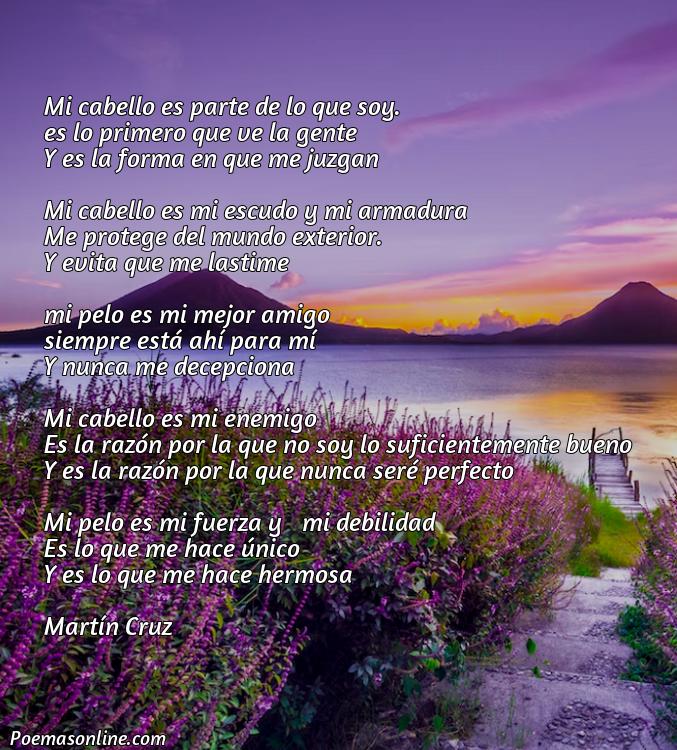 Corto Poema sobre Cabello, Cinco Poemas sobre Cabello
