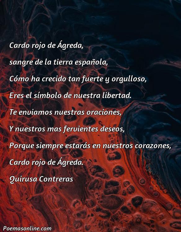 Reflexivo Poema sobre Cardo Rojo de Agreda, 5 Poemas sobre Cardo Rojo de Agreda