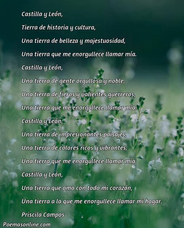 Reflexivo Poema sobre Castilla y Leon, Poemas sobre Castilla y Leon