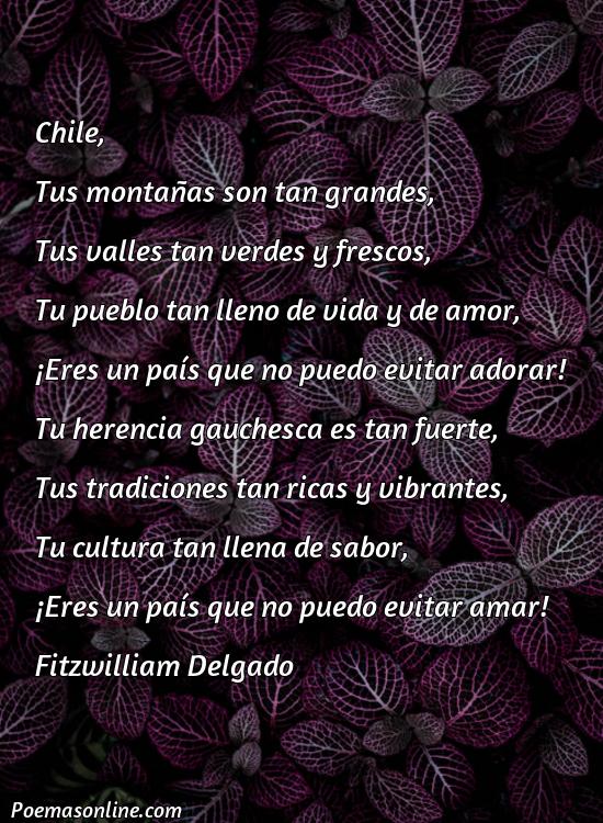 Excelente Poema sobre Chile, 5 Poemas sobre Chile