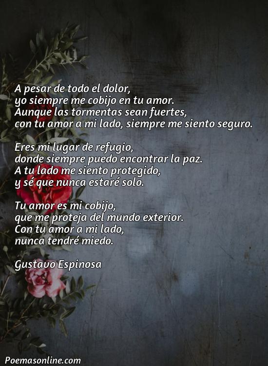 Cinco Poemas sobre Cobijo