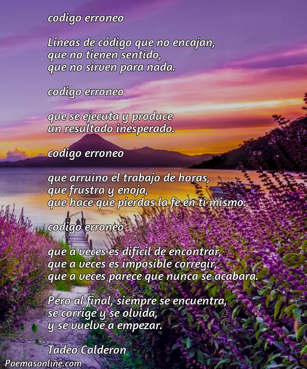 Lindo Poema sobre Código Erróneo, Poemas sobre Código Erróneo